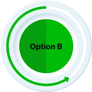 Option B icon